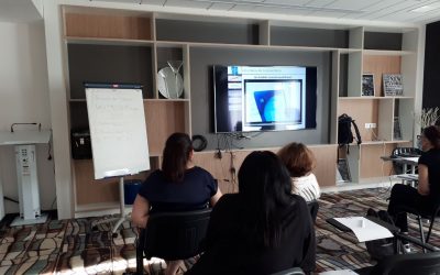 Animation de formation PRAP / Gestes et postures en CHU